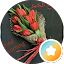 Zezo Hamdy