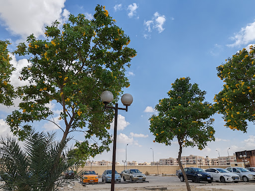 العيادات الخارجية لمستشفى جامعة قناة السويس