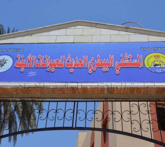 رأي حول المستشفى البيطري: تقييم الخدمات والرعاية الصحية للحيوانات الأليفة