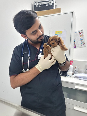 أفضل عيادة بيطرية Super Vet: تقييم شامل لخدمات رعاية الحيوانات الأليفة